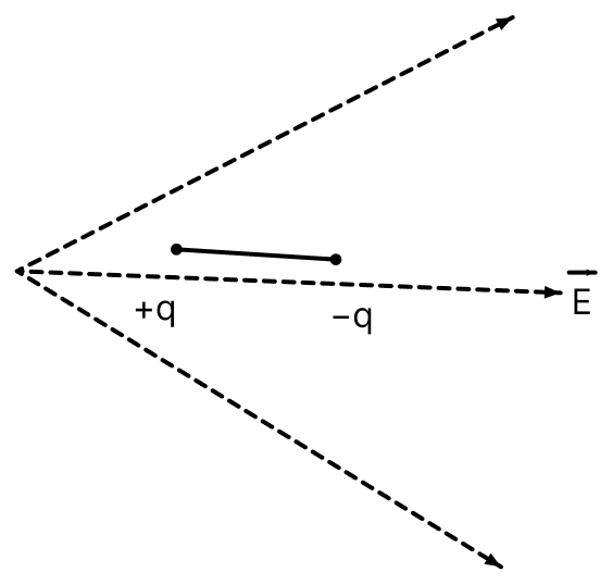 A dipole is placed in an electric field as shown. In which direction will it move? Electric Charges, Nootan Physics Solutions ICS Class 12