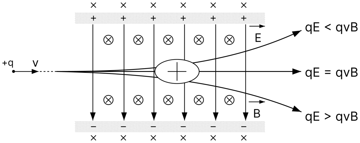 A charge q moving with a velocity vec text v in the presence of both electric and magnetic fields, experiences a force vec text F = text q[ vec text E + vec text v × vec text B]. If electric and magnetic fields are perpendicular to each other and also perpendicular to the velocity of the particle, the electric and magnetic forces are in opposite directions. If we adjust the value of electric and magnetic fields such that magnitude of the two forces is equal, the total force on the charge is zero and the charge will move in the fields undeflected. Moving Charges and Magnetic Field, Nootan Physics Solutions ICS Class 12
