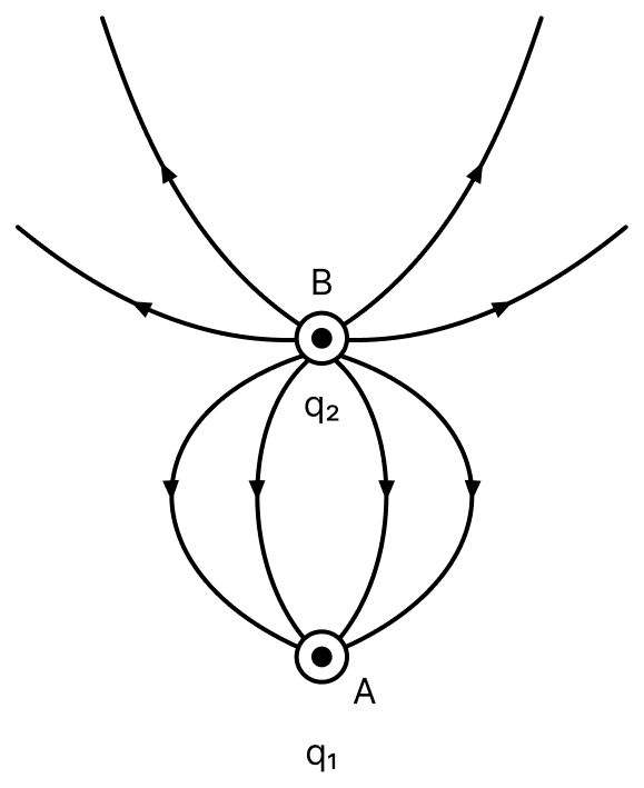 Figure shows electric lines of force due to two point-charges q 1 and q 2 placed at points A and B respectively. Write the nature of charges. Electric Charges, Nootan Physics Solutions ICS Class 12