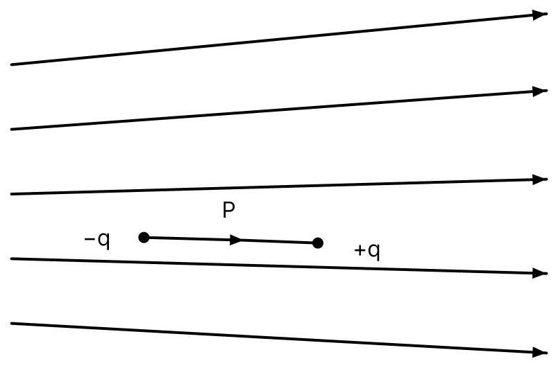 Figure below shows electric field lines in which an electric dipole P is placed as shown. Which of the following statements is correct? Electric Charges, Nootan Physics Solutions ICS Class 12