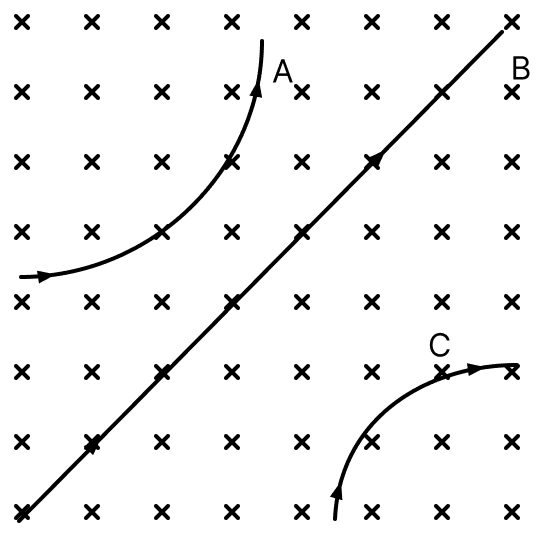 The paths of three particles A, B and C moving in a uniform magnetic field, denoted by crosses (×), are shown in the figure. The field is perpendicular to the plane of paper pointing downwards. State the nature of charge on each particle. Moving Charges and Magnetic Field, Nootan Physics Solutions ICS Class 12