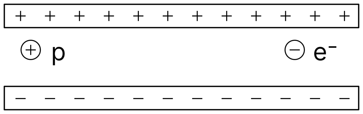 A free electron and a free proton are placed between the two oppositely charged parallel plates of a parallel-plate capacitor. Both are closer to the positive plate than the negative plate. Which of the following statements is true? Capacitors Dielectrics, Nootan Physics Solutions ICS Class 12
