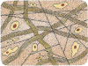 Areolar Connective Tissue Living Science Biology Ratna Sagar Solutions ICSE Class 7