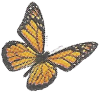 Butterfly Living Science Biology Ratna Sagar Solutions ICSE Class 7