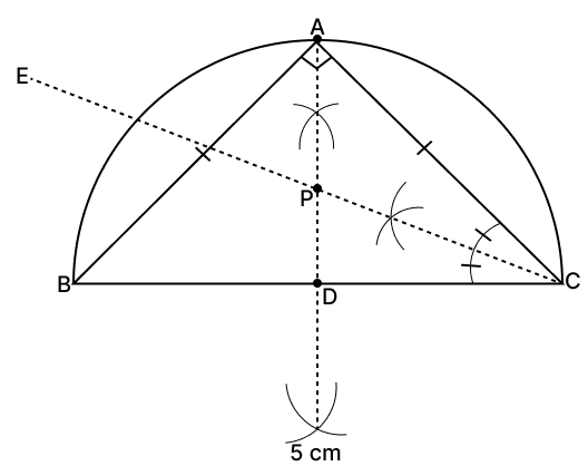 Using ruler and compasses only, construct an isosceles ΔABC in which BC = 5 cm, AB = AC and ∠BAC = 90°. Locate the point P such that Loci, RSA Mathematics Solutions ICSE Class 10.