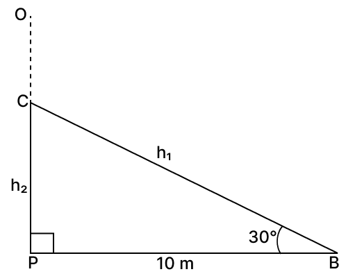 A straight tree breaks due to storm and the broken part bends so that the top of the tree touches the ground making an angle of 30° with the ground. The distance from the foot of the tree to the point where the top touches the ground is 10 metres. The height of the tree is : Volume And Surface Area of solid RSA Mathematics Solutions ICSE Class 10.