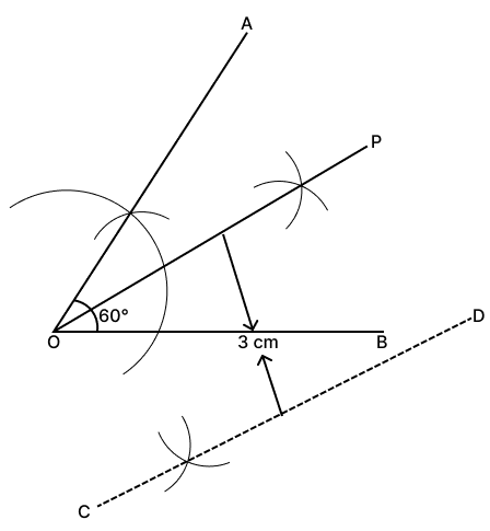 Construct ∠AOB = 60°. Mark a point P equidistant from OA and OB such that its distance from another given line CD is 3 cm. Loci, RSA Mathematics Solutions ICSE Class 10.