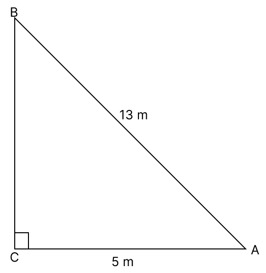 A ladder 13 m long rests against a vertical wall. If the foot of the ladder is 5 m from the foot of the wall, find the distance of the other end of the ladder from the ground. Pythagoras Theorem, R.S. Aggarwal Mathematics Solutions ICSE Class 9.