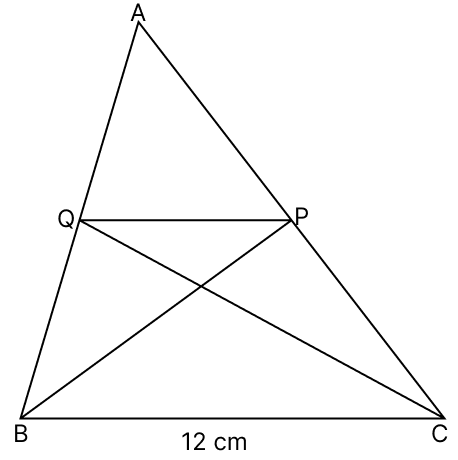 In the given figure, BP and CQ are two medians of the △ABC. If BC = 12 cm, the length of QP.R.S. Aggarwal Mathematics Solutions ICSE Class 9.