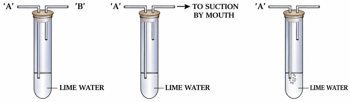 The diagrams below represents an experiment to show the presence of a - component of air. Air & Atmosphere, ICSE Class 6 Dalal Chemistry CBSE Solutions.
