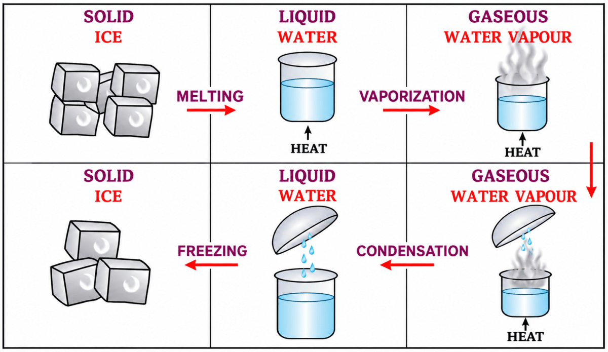 Explain the term Interconversion of matter. With reference to ice, water & water vapour - show diagrammatically the change of state of matter from solid to liquid to gaseous & back to its original state. Matter, ICSE Class 6 Dalal Chemistry CBSE Solutions.