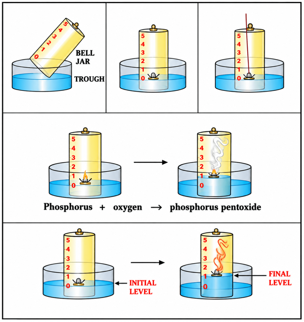 With the help of a labeled diagram, describe a simple experiment to show the presence of oxygen & nitrogen in air using a piece of white phosphorus. Air & Atmosphere, ICSE Class 6 Dalal Chemistry CBSE Solutions.