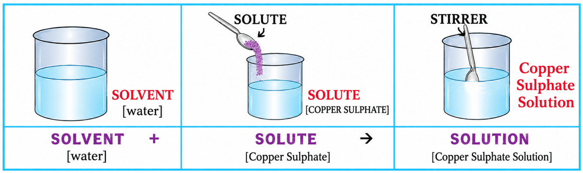 Draw a neat labelled diagram of addition of copper sulphate to water. Label the solute, solvent & solution in the same. Water, ICSE Class 6 Dalal Chemistry CBSE Solutions.