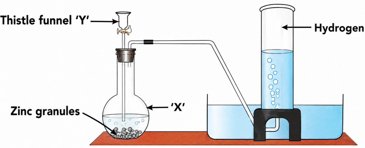 The setup shown below is that of the apparatus used to obtain hydrogen gas in the laboratory. Model Paper, Simplified Chemistry Dalal Solutions ICSE Class 9