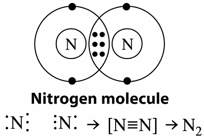 Nitrogen molecule has no lone pair of electrons, while ammonia molecule has one lone pair. Atomic Structure, Simplified Chemistry Dalal Solutions ICSE Class 9