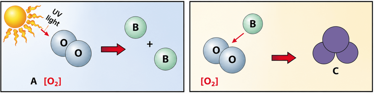 The diagram represents the formation of a bluish explosive gas. 'A' is a molecule of oxygen gas. State what do 'B' & 'C' represent. Atomic Structure, Simplified Chemistry Dalal Solutions ICSE Class 9