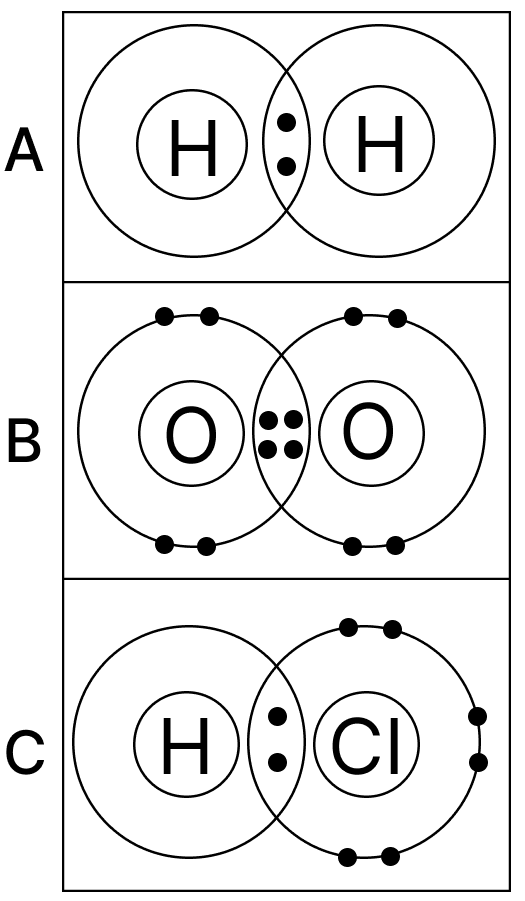 From the molecule A, B, C state which is the odd one out. Justify your answer. Atomic Structure, Simplified Chemistry Dalal Solutions ICSE Class 9