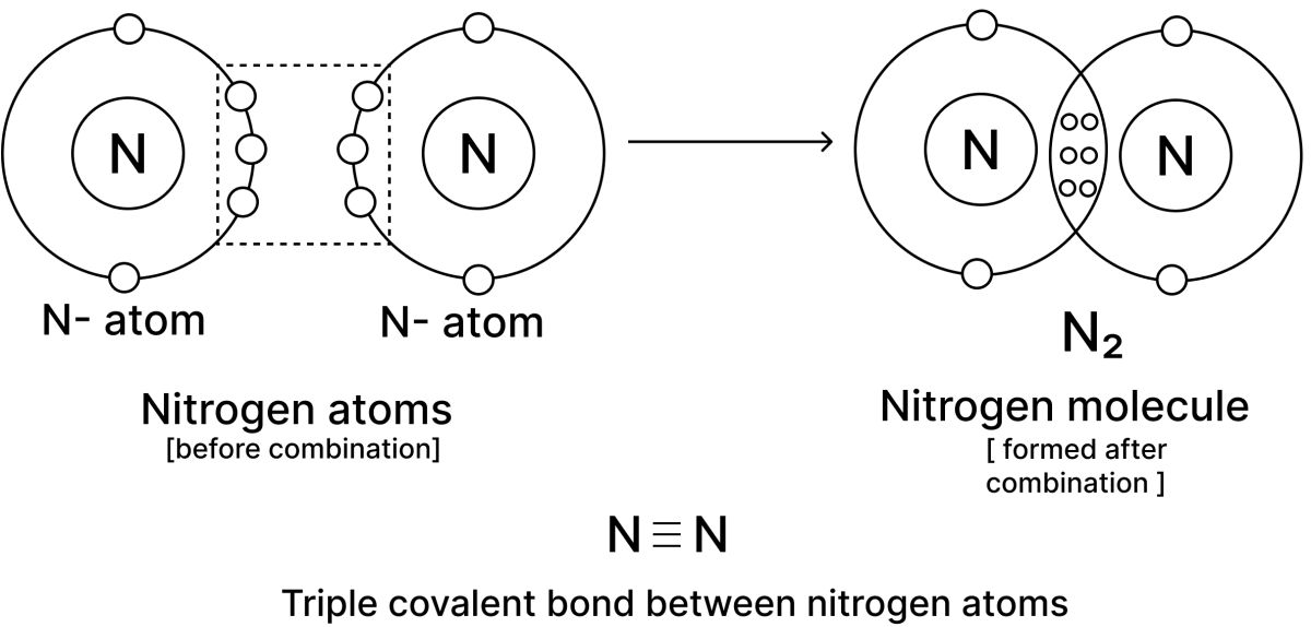 Draw the atomic orbit structure of formation of: Model Paper, Simplified Chemistry Dalal Solutions ICSE Class 9