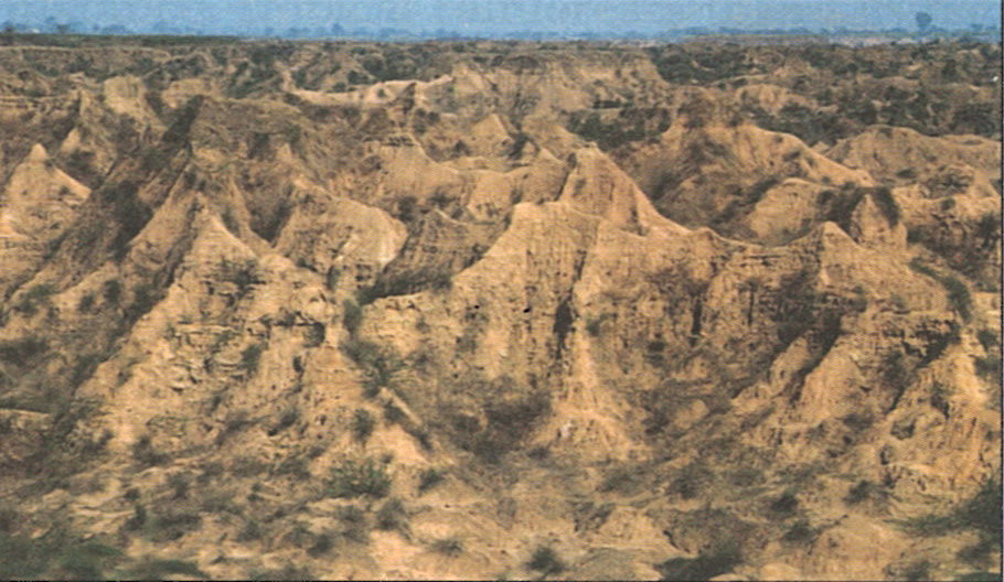 Study the picture of the Chambal Valley. What is responsible for erosion here? Briefly describe how soil is eroded in this case. Chapter 8 Soil Resources, Total Geography ICSE Class 10