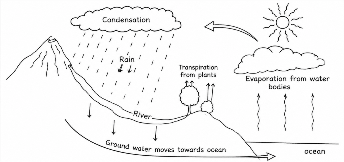 Look at the figure on the side and answer the questions: Total Geography ICSE Class 9