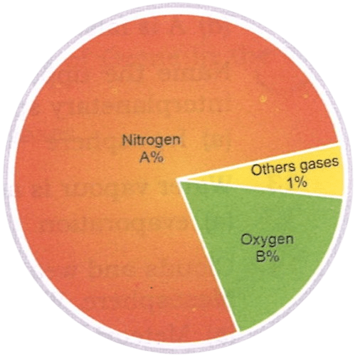 What is A% and B% as depicted in the diagram showing the composition of the atmosphere. Total Geography ICSE Class 9
