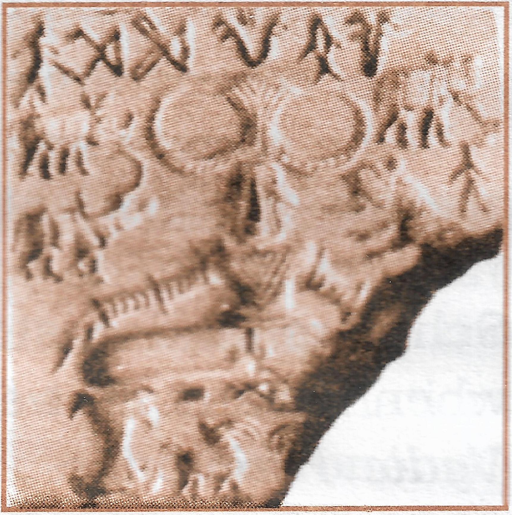 Identify the seal in the given picture. Why were the seals used? Of what material were these seals made? Name any four animals whose pictures were inscribed on the seals. What do the seals reveal about the Harappans? The Harappan Civilisation, Total History and Civics Solutions ICSE Class 9.
