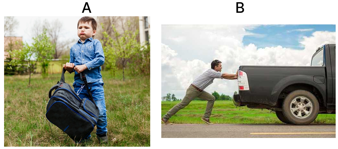 Observe the given images carefully and complete the given table. Force, Viva Physics Solutions ICSE Class 6.