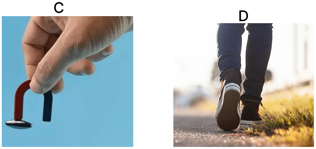 Observe the given images carefully and complete the given table. Force, Viva Physics Solutions ICSE Class 6.