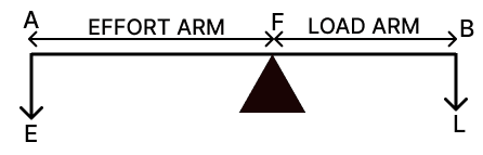 Find out and write about the different types of levers. Simple Machine, Viva Physics Solutions ICSE Class 6.