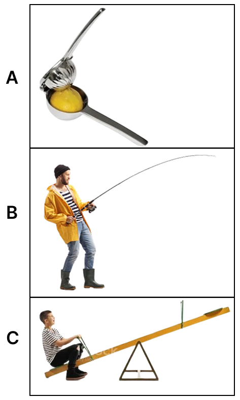 Observe the given images and answer the following questions. Simple Machine, Viva Physics Solutions ICSE Class 6.