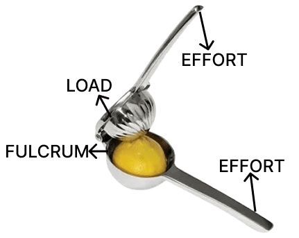 Observe the given images and answer the following questions.Simple Machine, Viva Physics Solutions ICSE Class 6.