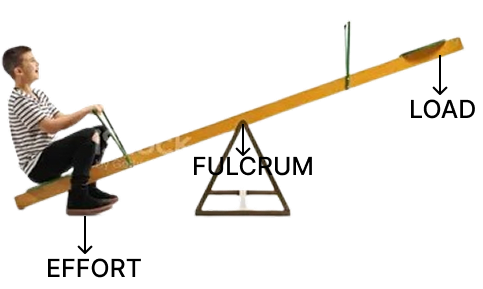 Observe the given images and answer the following questions.Simple Machine, Viva Physics Solutions ICSE Class 6.