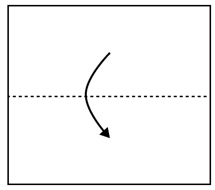 A rectangle of area 16 cm<sup>2</sup> is folded into half along its length. Is it possible to find the area of the new rectangle?. Physical Quantities and Measurement, Viva Physics Solutions ICSE Class 6.