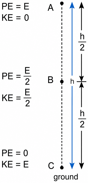 Explain the law of conservation of energy with the help of examples. Energy, Viva Physics Solutions ICSE Class 6.