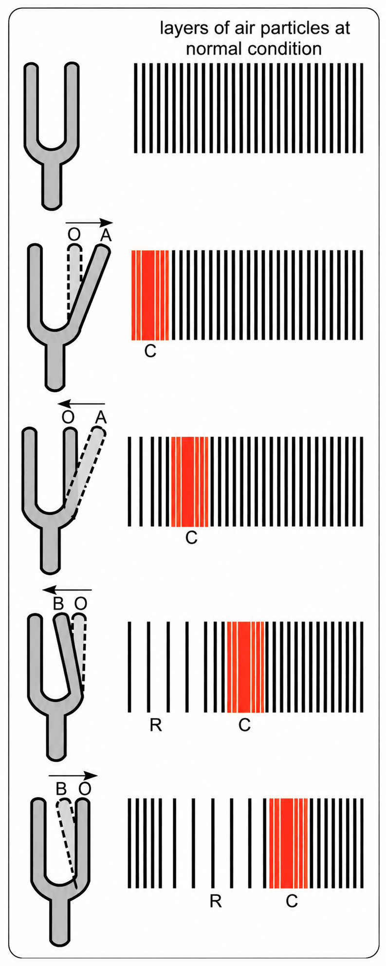 Rarefaction Examples Explain with a diagram how sound propagates as longitudinal | KnowledgeBoat