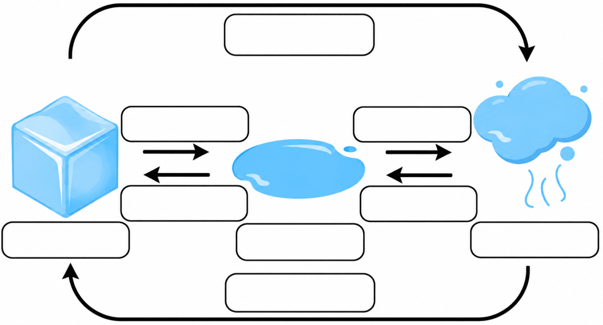 Write the correct words in the blank boxes given in the picture. Sample Paper 1, ICSE Class 8 Viva Physics Solutions.
