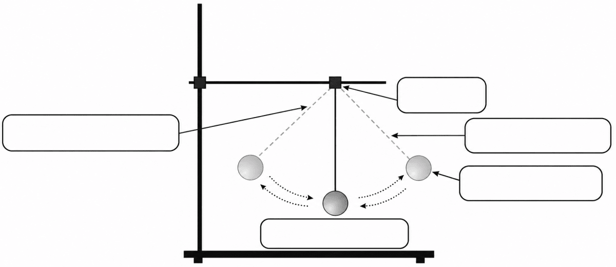 Write the correct words in the blank boxes given in the picture. Sample Practice Paper 2, ICSE Class 8 Viva Physics Solutions.