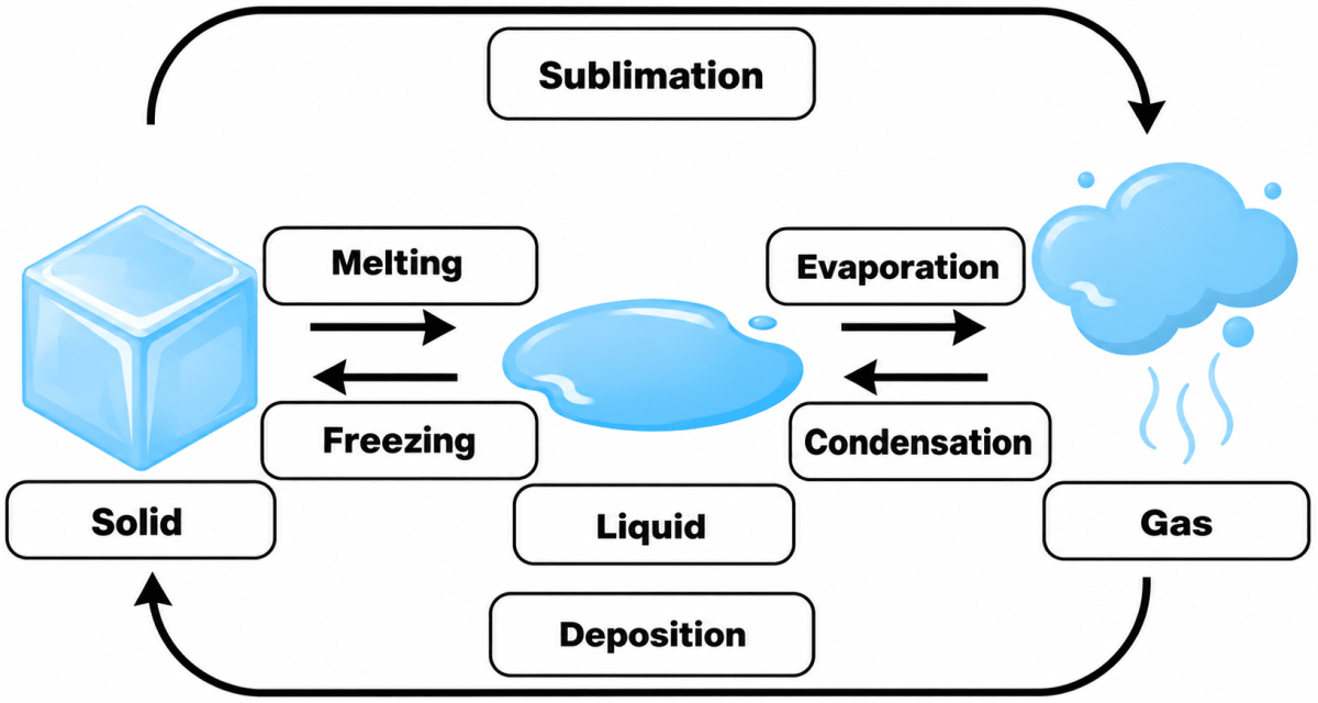 Write the correct words in the blank boxes given in the picture. Sample Paper 1, ICSE Class 8 Viva Physics Solutions.