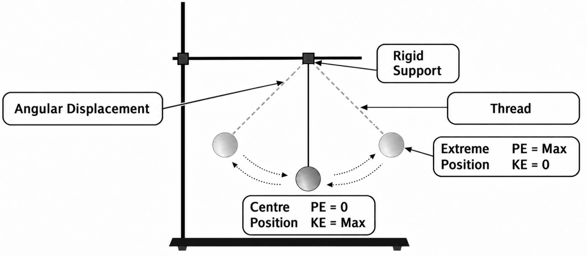 Write the correct words in the blank boxes given in the picture. Sample Practice Paper 2, ICSE Class 8 Viva Physics Solutions.